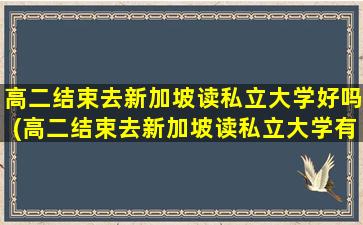 高二结束去新加坡读私立大学好吗(高二结束去新加坡读私立大学有用吗)