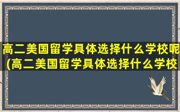 高二美国留学具体选择什么学校呢(高二美国留学具体选择什么学校呢英语)