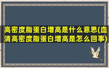 高密度脂蛋白增高是什么意思(血清高密度脂蛋白增高是怎么回事)