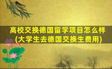 高校交换德国留学项目怎么样(大学生去德国交换生费用)