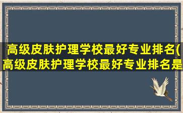 高级皮肤护理学校最好专业排名(高级皮肤护理学校最好专业排名是多少)