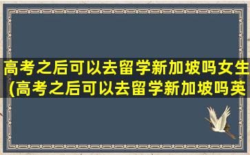 高考之后可以去留学新加坡吗女生(高考之后可以去留学新加坡吗英语)