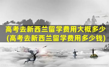 高考去新西兰留学费用大概多少(高考去新西兰留学费用多少钱)