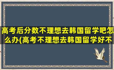 高考后分数不理想去韩国留学吧怎么办(高考不理想去韩国留学好不好)