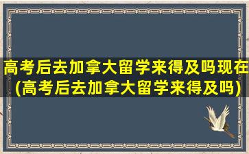 高考后去加拿大留学来得及吗现在(高考后去加拿大留学来得及吗)