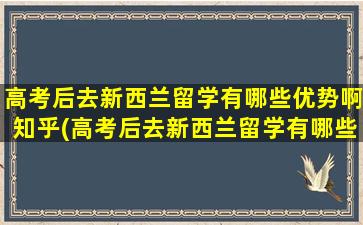 高考后去新西兰留学有哪些优势啊知乎(高考后去新西兰留学有哪些优势啊英语)