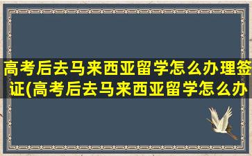 高考后去马来西亚留学怎么办理签证(高考后去马来西亚留学怎么办手续)