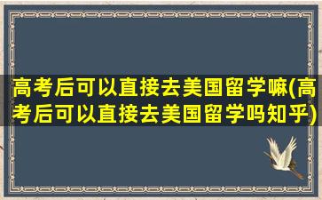 高考后可以直接去美国留学嘛(高考后可以直接去美国留学吗知乎)