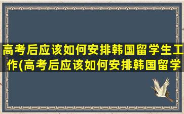 高考后应该如何安排韩国留学生工作(高考后应该如何安排韩国留学呢)