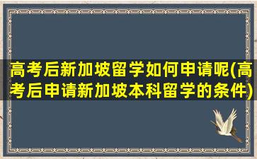 高考后新加坡留学如何申请呢(高考后申请新加坡本科留学的条件)