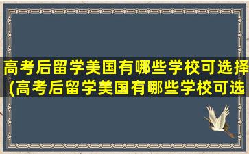 高考后留学美国有哪些学校可选择(高考后留学美国有哪些学校可选)