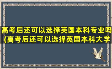 高考后还可以选择英国本科专业吗(高考后还可以选择英国本科大学吗)