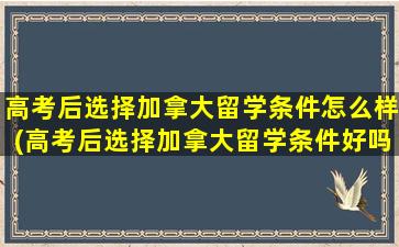 高考后选择加拿大留学条件怎么样(高考后选择加拿大留学条件好吗)