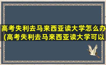 高考失利去马来西亚读大学怎么办(高考失利去马来西亚读大学可以吗)