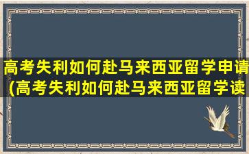 高考失利如何赴马来西亚留学申请(高考失利如何赴马来西亚留学读研)