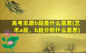 高考志愿b段是什么意思(艺术a段，b段分别什么意思)