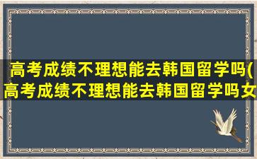 高考成绩不理想能去韩国留学吗(高考成绩不理想能去韩国留学吗女生)