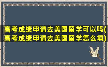 高考成绩申请去美国留学可以吗(高考成绩申请去美国留学怎么填)