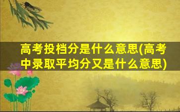 高考投档分是什么意思(高考中录取平均分又是什么意思)