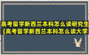 高考留学新西兰本科怎么读研究生(高考留学新西兰本科怎么读大学)