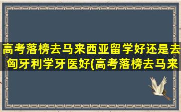 高考落榜去马来西亚留学好还是去匈牙利学牙医好(高考落榜去马来西亚留学可以吗)