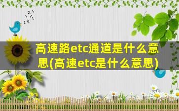 高速路etc通道是什么意思(高速etc是什么意思)