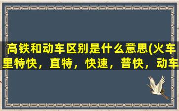 高铁和动车区别是什么意思(火车里特快，直特，快速，普快，动车，有什么区别)