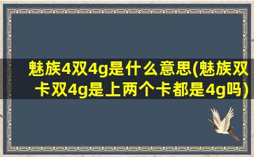 魅族4双4g是什么意思(魅族双卡双4g是上两个卡都是4g吗)