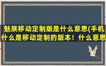 魅族移动定制版是什么意思(手机什么是移动定制的版本！什么意思啊)