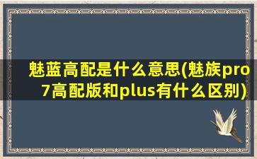 魅蓝高配是什么意思(魅族pro7高配版和plus有什么区别)