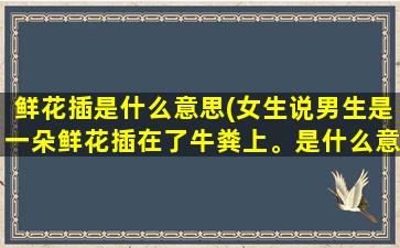 鲜花插是什么意思(女生说男生是一朵鲜花插在了牛粪上。是什么意思)