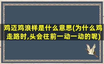 鸡迈鸡浪样是什么意思(为什么鸡走路时,头会往前一动一动的呢)