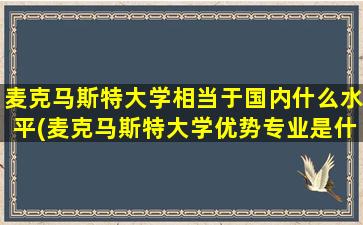 麦克马斯特大学相当于国内什么水平(麦克马斯特大学优势专业是什么)