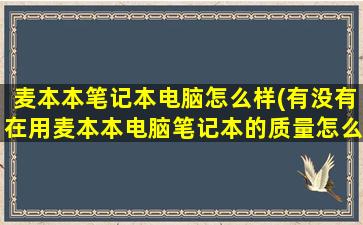 麦本本笔记本电脑怎么样(有没有在用麦本本电脑笔记本的质量怎么样)