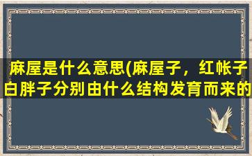 麻屋是什么意思(麻屋子，红帐子白胖子分别由什么结构发育而来的)