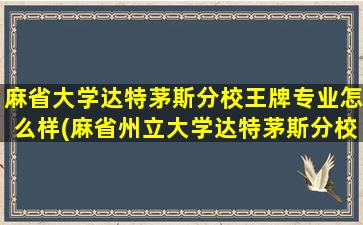 麻省大学达特茅斯分校王牌专业怎么样(麻省州立大学达特茅斯分校)