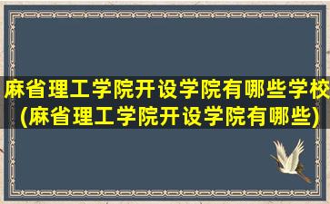 麻省理工学院开设学院有哪些学校(麻省理工学院开设学院有哪些)