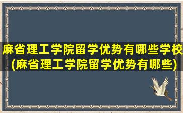 麻省理工学院留学优势有哪些学校(麻省理工学院留学优势有哪些)