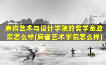 麻省艺术与设计学院的奖学金政策怎么样(麻省艺术学院怎么样)