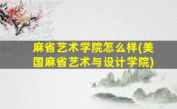 麻省艺术学院怎么样(美国麻省艺术与设计学院)