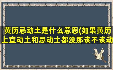 黄历忌动土是什么意思(如果黄历上宜动土和忌动土都没那该不该动土)