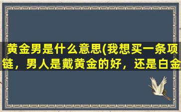 黄金男是什么意思(我想买一条项链，男人是戴黄金的好，还是白金好)