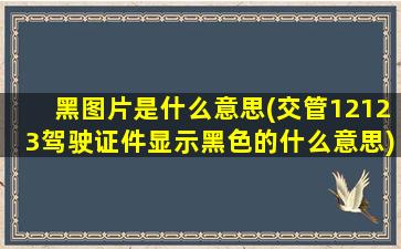 黑图片是什么意思(交管12123驾驶证件显示黑色的什么意思)