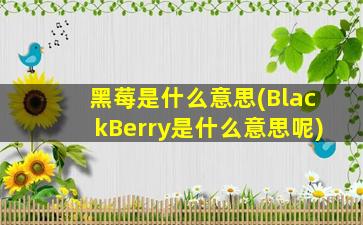 黑莓是什么意思(BlackBerry是什么意思呢)