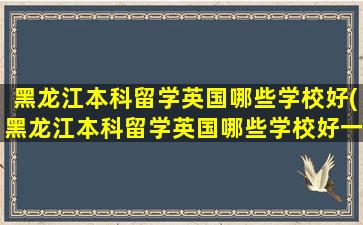 黑龙江本科留学英国哪些学校好(黑龙江本科留学英国哪些学校好一些)