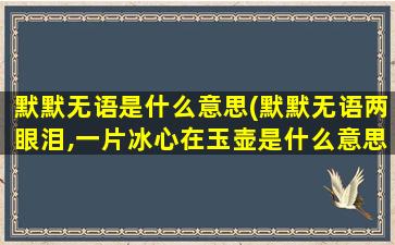 默默无语是什么意思(默默无语两眼泪,一片冰心在玉壶是什么意思)