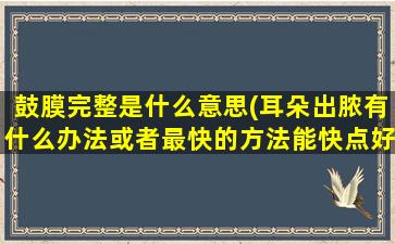 鼓膜完整是什么意思(耳朵出脓有什么办法或者最快的方法能快点好)