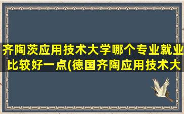 齐陶茨应用技术大学哪个专业就业比较好一点(德国齐陶应用技术大学)