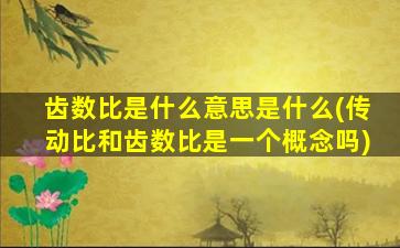 齿数比是什么意思是什么(传动比和齿数比是一个概念吗)